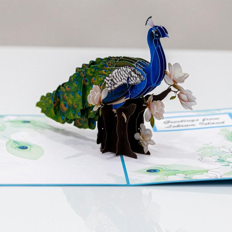 peacock_1